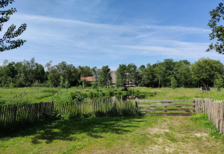 Groene weide met houten hek en poort bij een cabin onder blauwe lucht, Wetland Cabin, Friesland, Nederland.