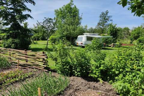 Groene tuin met caravan en houten hek bij Wetland Cabin voor 2 personen, Boetiekpark de Kas, Friesland.