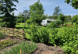 Jardín verde con caravana y valla de madera en Wetland Cabin para 2 personas, Boetiekpark de Kas, Friesland.