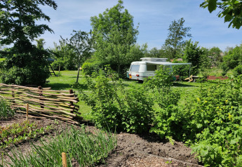 Jardin verdoyant avec caravane et clôture en bois à Wetland Cabin 2 personnes, Boetiekpark de Kas, Friesland.