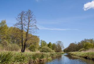 Vue sur zone humide avec ruisseau paisible et arbres verts au Boetiekpark de Kas, Scherpenzeel, Friesland, Pays-Bas.