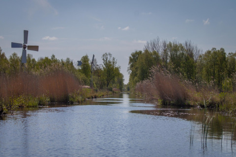 Uitzicht op een rustige moeraswaterloop met windmolens en groen bij Scherpenzeel, Friesland, Nederland.