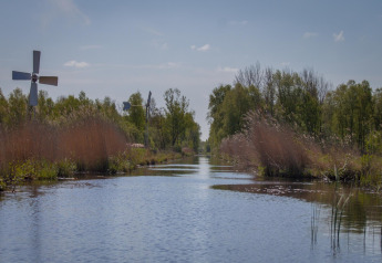 Vista de un tranquilo canal de humedales con molinos de viento y vegetación cerca de Scherpenzeel, Frisia.