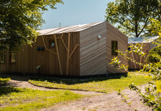 Casa in legno 'Large Green House' per 4 persone, immersa nella natura nei Paesi Bassi.