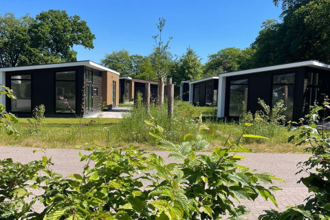Lodge moderni con grandi finestre circondati dal verde, alberi e cielo blu durante una giornata soleggiata.