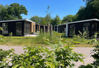 Lodge moderni con grandi finestre circondati dal verde, alberi e cielo blu durante una giornata soleggiata.