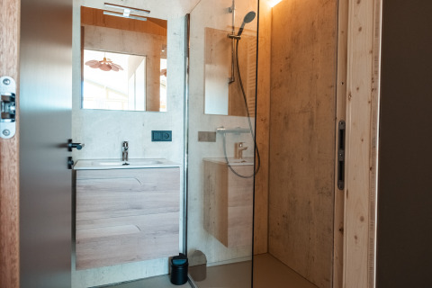 Bagno moderno con doccia in vetro, pareti in legno, lavabo e specchio nel Large Green House, Paesi Bassi.