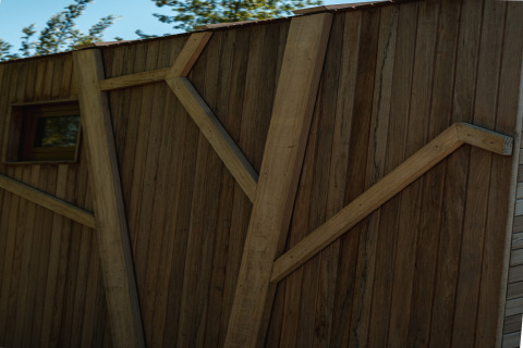 Parete esterna in legno del lodge 'Large Green House 4 persons' nei Paesi Bassi con decoro a rami.