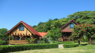 Due accoglienti baite in legno con tetti rossi immerse nel verde, circondate da arbusti e fiori colorati.