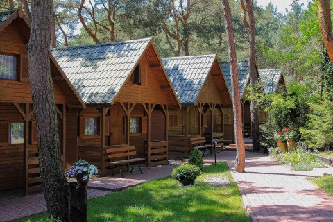 Rij gezellige houten Holiday cottages Łazy chalets in het bos met bloemen en een zonnig pad.