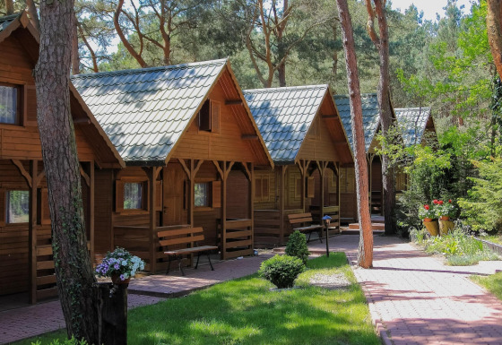 Rij gezellige houten Holiday cottages Łazy chalets in het bos met bloemen en een zonnig pad.