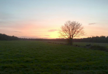 Beautiful sunset from a chalet with a solitary tree silhouetted against a green field and forest backdrop.