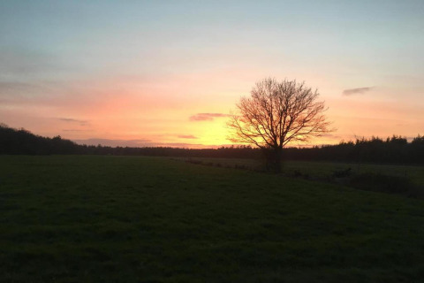 Splendido tramonto da uno chalet con un albero solitario su un prato verde e una foresta sullo sfondo.