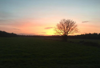 Smuk solnedgang set fra et chalet med et ensomt træ i silhuet over en grøn eng og skov i baggrunden.