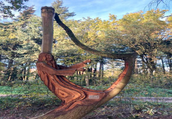 Scultura in legno di un uomo che suona l'arpa, intagliata artisticamente in un albero vicino a uno chalet.