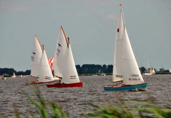 Zeilboten racen op een meer bij Water park «Terkaple 2» in Nederland, gras zichtbaar op voorgrond.