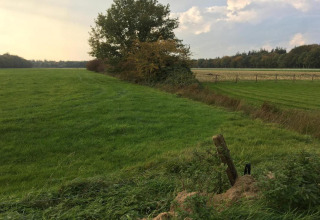 Grøn mark ved et sommerhus med træer, hegn og blå himmel, taget en rolig eftermiddag.