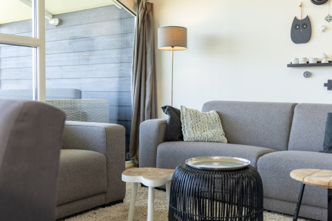 Salon moderne du chalet Water park «Terkaple 1» aux Pays-Bas, avec canapé gris et décoration élégante.
