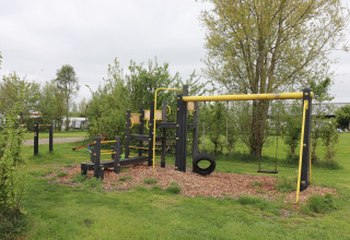 Aire de jeux avec balançoires et structure d’escalade près de Cosy cabin 1 aux Pays-Bas, arbres autour.
