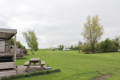 Grassy field with picnic tables, trees, and a camper at 