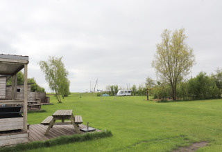 Grassy field with picnic tables, trees, and a camper at "Terrace lodge 2" chalet in the Netherlands.