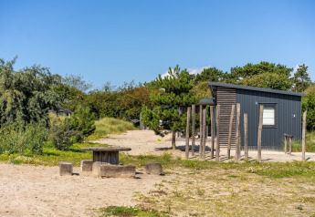 Ein gemütliches Strandhaus mit Sand, grünen Bäumen und Sitzgelegenheiten unter blauem Himmel.
