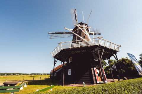 Een typische Nederlandse windmolen staat in het zonlicht, omgeven door groene weiden en een heldere lucht.