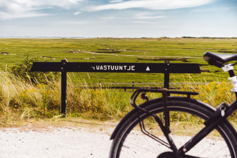 Fiets bij bord 't Wastuutntje, uitzicht op groene weiden met schapen en een heldere blauwe hemel.