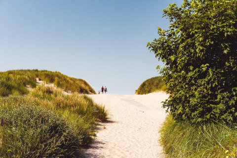 Twee personen wandelen langs een zandpad met gras en struiken richting het strand onder een blauwe lucht.