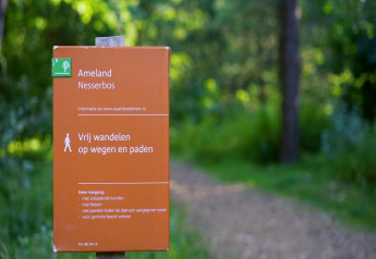 Cartel informativo en la entrada de Nesserbos en Ameland, rodeado de vegetación y sendero de tierra.