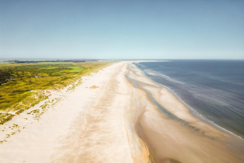 Luchtzicht op een brede, lege zandstrand met duinen aan de kustlijn en een helderblauwe hemel erboven.