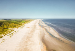 Luchtzicht op een brede, lege zandstrand met duinen aan de kustlijn en een helderblauwe hemel erboven.