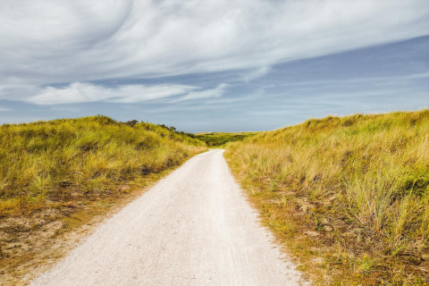 Zandpad tussen groene duinen en lichte bewolking, vlakbij een strandhuisje aan de Belgische kust.