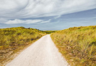 Zandpad tussen groene duinen en lichte bewolking, vlakbij een strandhuisje aan de Belgische kust.