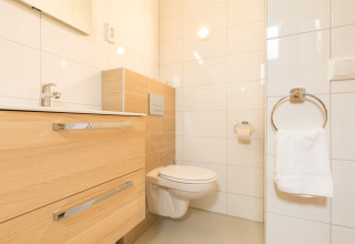 Moderne badkamer in Sea Lodges «Ameland 3», Nederland, met hangtoilet en licht houten badkamermeubel.