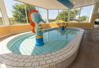 Pequeña piscina cubierta con juguetes para niños en un lodge, rodeada de grandes ventanales.