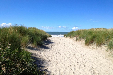 Sandweg führt durch Dünen zur Nordsee am Holiday park Boomhiemke 7, umgeben von Gras, Niederlande.