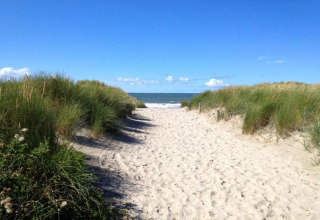 Camino arenoso rodeado de dunas y vegetación hacia el mar en Holiday park Boomhiemke 7, Países Bajos.