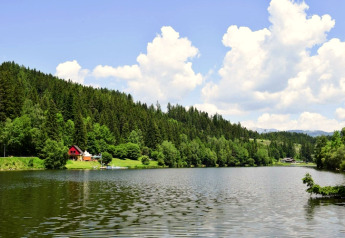 Meerzicht bij Ferienhütte Trabochersee met groene bossen, hutje en blauwe lucht in Oostenrijk.