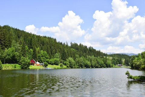 Udsigt over søen ved Ferienhütte Trabochersee med grønne træer, bjerge og en blå himmel i Østrig.