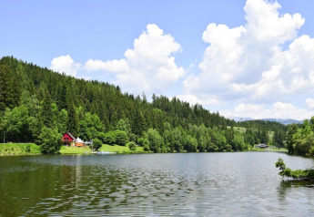 Vue sur le lac à Ferienhütte Trabochersee avec collines boisées, cabane et ciel bleu en Autriche.