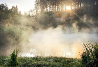 Amanecer con niebla sobre el lago Trabochersee, junto a Ferienhütte Trabochersee y árboles, en Austria.