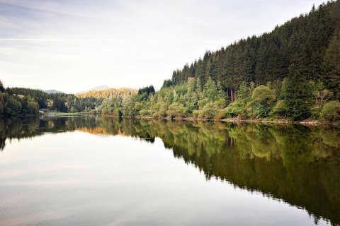 Spejling af skovklædte bakker i søen ved Ferienhütte Trabochersee i Østrig på en fredelig dag.