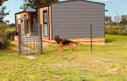 En schæferhund står udenfor et moderne feriehus med træfacade i Holiday home Inselblick, Nowe Warpno.