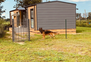 A German Shepherd stands in front of a modern chalet at Holiday home ‘Inselblick’ in Nowe Warpno, Germany.