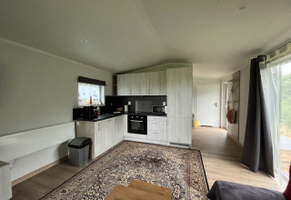 Modern holiday chalet kitchen and living area with large rug, wood accents, and bright windows in Germany.