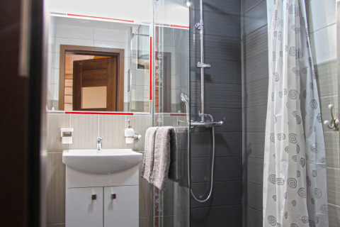Salle de bain moderne avec douche, lavabo et miroir dans le chalet Holiday home «Maryna» en Allemagne.