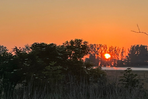 Sunrise behind trees and bushes at Holiday home «Inselblick in Nowe Warpno», Germany, with orange sky.