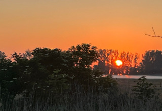Sunrise behind trees and bushes at Holiday home «Inselblick in Nowe Warpno», Germany, with orange sky.