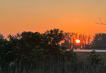 Lever du soleil derrière des arbres au Holiday home «Inselblick in Nowe Warpno», Allemagne, ciel orangé.